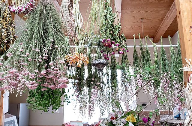 森のAKARI ドライフラワー、多肉植物、花植物寄せ植え、他