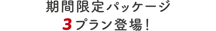 期間限定パッケージ　３プラン登場！