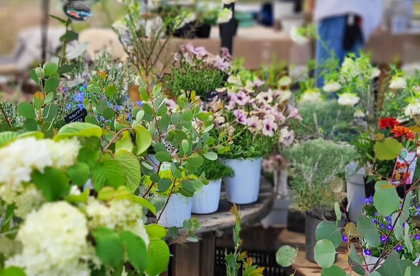 花苗 Flower&Green雑貨