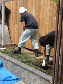 植栽 2012-07-18 004.JPG